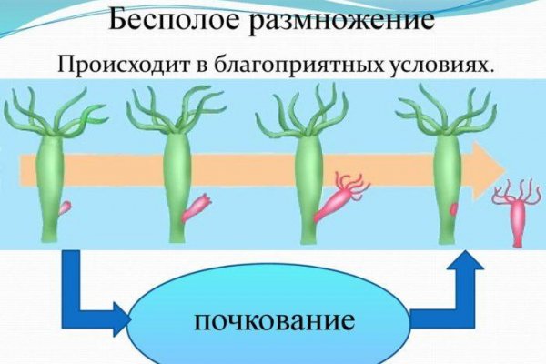 Каталог онион сайтов