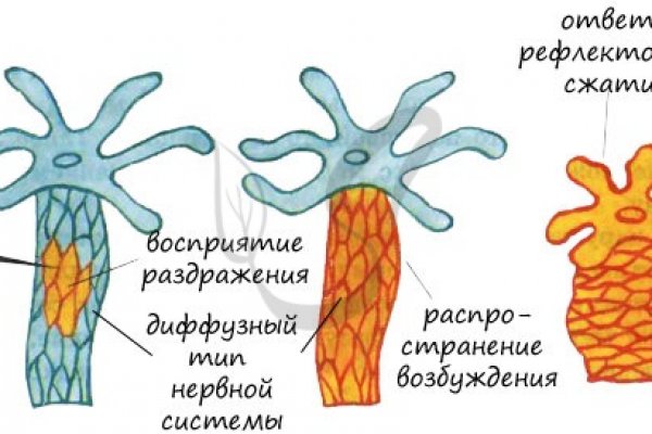 Купить гашиш анонимно